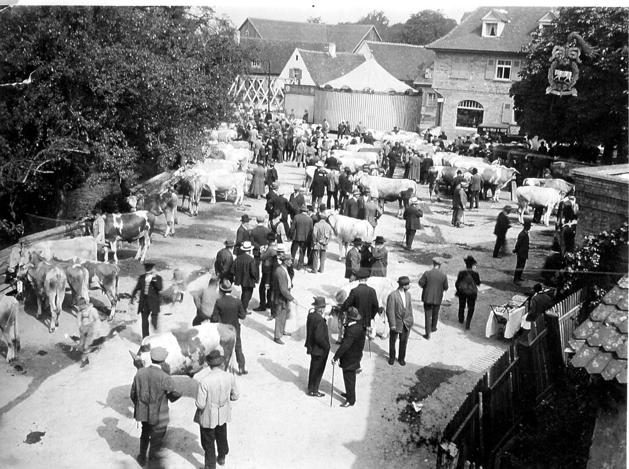 Ox Hotel Heitersheim Exterior foto